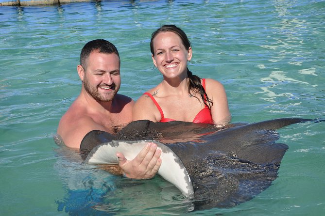 Private Caribbean Snorkeling Cruise At Punta Cana & Sharks, Stingray Encounter - How the Crew Keeps You Safe Without Killing the Fun