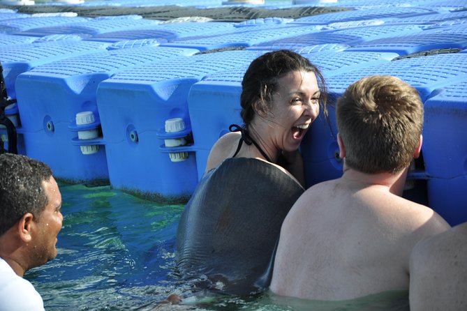 Private Caribbean Snorkeling Cruise At Punta Cana & Sharks, Stingray Encounter - Getting There: Pickup, Meeting Point, and a 4-Hour Day Plan