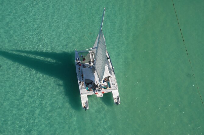 Private Catamaran Cruise to Bahia de las Aguilas - Snorkeling in a protected coral barrier area (and why the training helps)