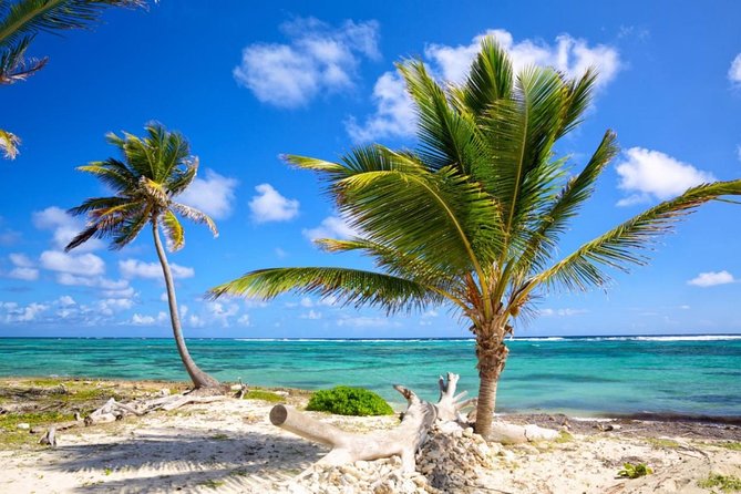 Private Departure Transfer from Uvero Alto to Punta Cana airport (PUJ) - Who should book this private PUJ transfer