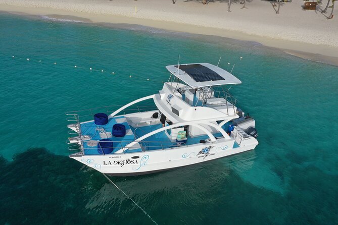 Private Full Day Charter to Saona Island from Punta Cana - Key highlights before you book