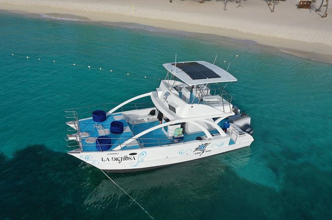 Private Full Day Charter to Saona Island from Punta Cana - Saona Island free time: beach, old pier swims, souvenirs, and optional massage