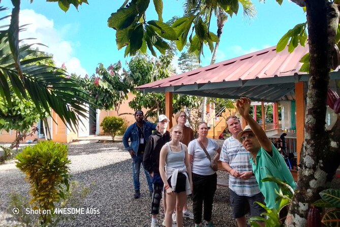 Private Half Day Tour in Dominican Republic with Local Guide - Getting picked up with AC and wifi, then getting out of the hotel bubble