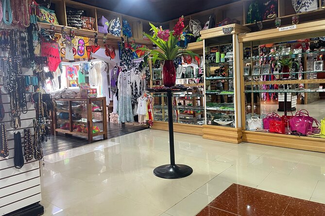 Private Half Day Tour in Dominican Republic with Local Guide - Mercado Municipal plus neighborhood vibes: the quick hit of real daily life