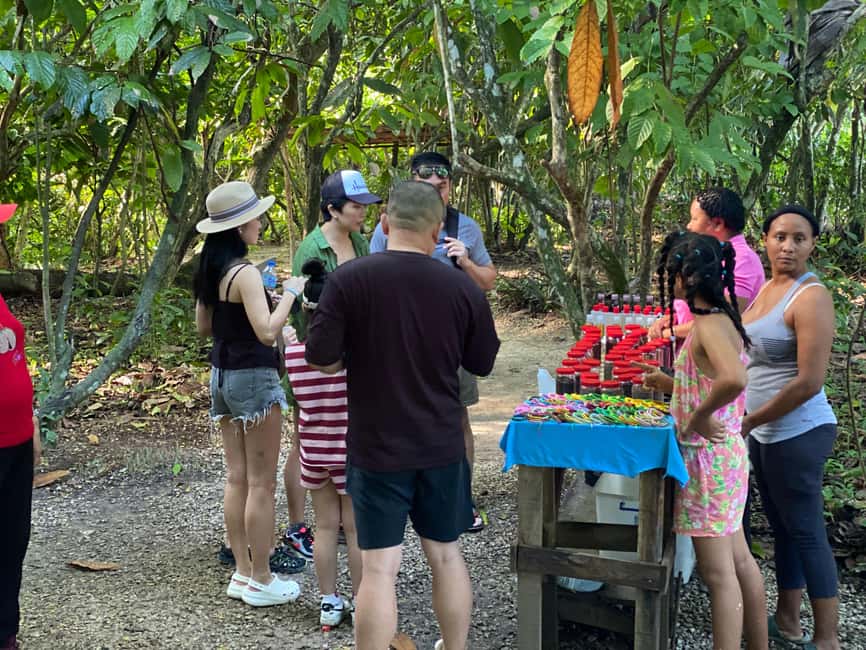 Private Half Day Tour in Punta Cana-Higüey with Local Guide - The Plantation Stop: Coffee, Cocoa, and Vanilla With Real Tastings