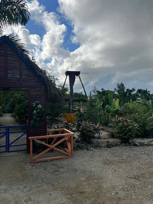 Private Half Day Tour in Punta Cana-Higüey with Local Guide - Basilica Cathedral of Our Lady of Altagracia: Modern Architecture, Big Meaning