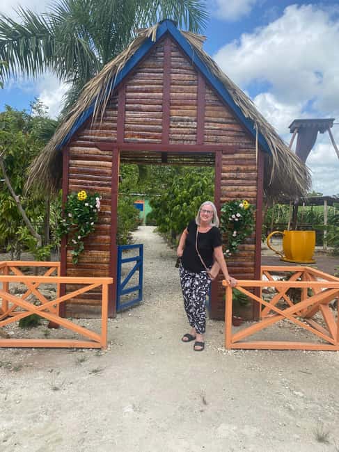 Private Half Day Tour in Punta Cana-Higüey with Local Guide - The Scenery Return: When the Drive Counts