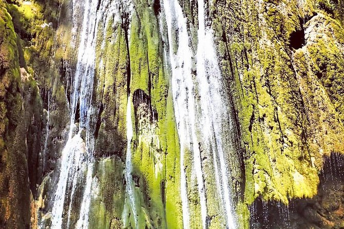 Private Hiking to Salto el Limon with a Local expert Guide from Samana - Why Salto el Limon Feels Like a Real Day Out (Not a Conveyor Belt)