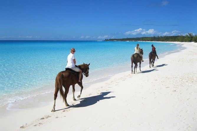 Private Macao Beach horseback riding in punta cana and Bayahibe - Key Highlights You Will Care About