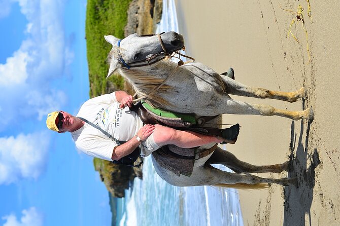 Private Macao Beach horseback riding in punta cana and Bayahibe - Price and Value: Why $55 Can Make Sense