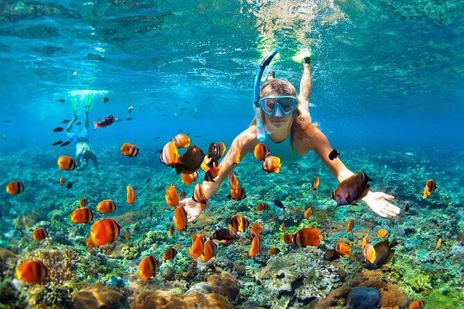 Private Party Boat with Snorkeling in Playa Bibijagua - What is included, and what you should plan to bring