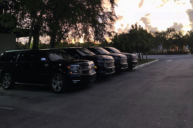 Private Punta Cana Airport Transfers Hotels in Dominican Republic - Who Should Book This Transfer (and Who Might Not Need It)