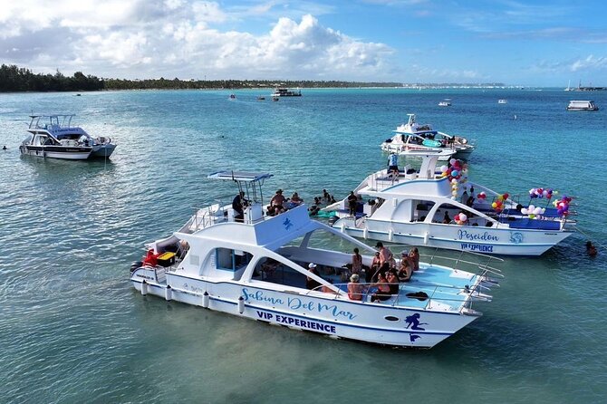 Private Punta Cana Boat Cruise with Snorkeling & Open Bar Party - Who This Punta Cana Private Cruise Fits Best