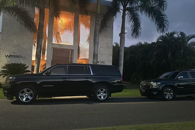 Private Punta Cana Luxury Car Transportation - Luggage, Kids, and Accessibility Options That Actually Change Your Day