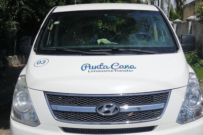 Private Round Trip Airport Transfer Bavaro Hotels - Return trip to the airport: flight monitoring works both ways