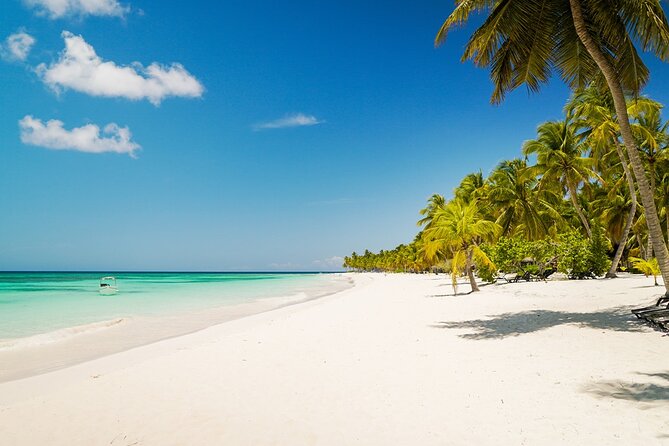 Private Saona Island Excursion - Key points to know before you go