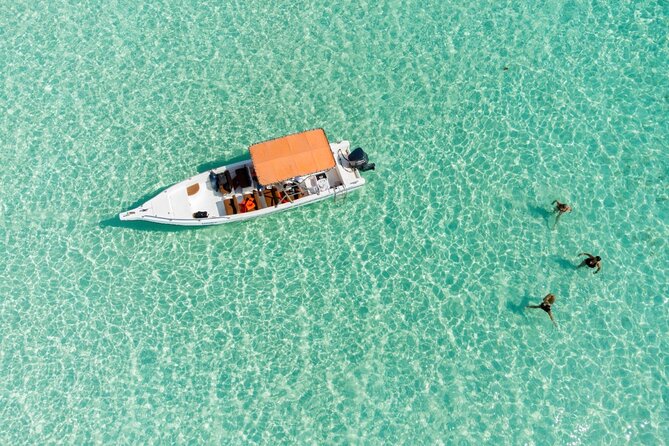 Private Saona Island Excursion - Stop 2 in Parque Nacional del Este: The Natural Swimming Pool Sandbank
