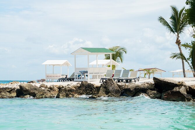 Private Saona Island Excursion - Snorkeling Options and How to Handle the Realities