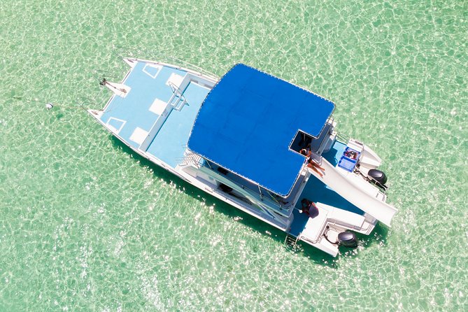 Private Snorkeling in Punta Cana - Getting to the boat: pickup, timing, and your first steps