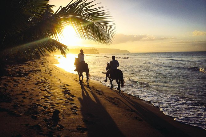 Private Sunset Horseback Riding in punta cana beach - Key things to know before you go