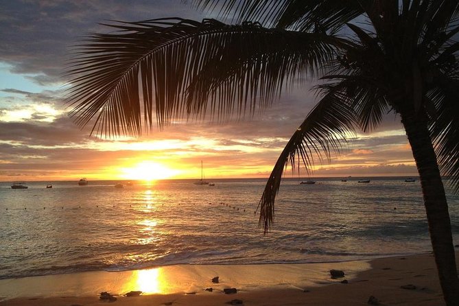 Private Sunset Horseback Riding in punta cana beach - The ranch meet-and-greet and horse handling you should watch for