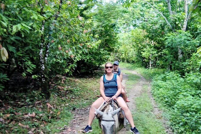 Private Tour in Miches with La Jarda Waterfall Experience - Punta Cana Pickup and the Road Toward Miches