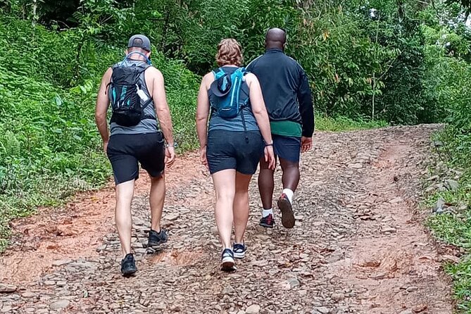 Private Tour in Miches with La Jarda Waterfall Experience - Coffee and Cacao Forest Paths, Shade and Small Rewards