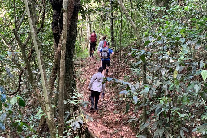 Private Tour in Miches with La Jarda Waterfall Experience - After the Park: Montana Redonda’s 360-Degree Payoff