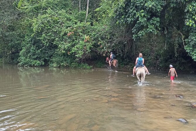 Private Tour in Miches with La Jarda Waterfall Experience - Salto de La Jalda: Nearly 400 Feet of Waterfall Time
