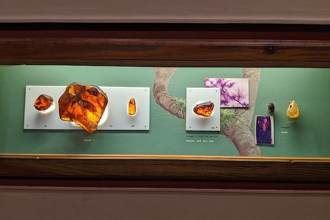 Private Tour of Puerto Plata by Classic Car - Dominican Amber Museum: fossil resin explained in plain terms