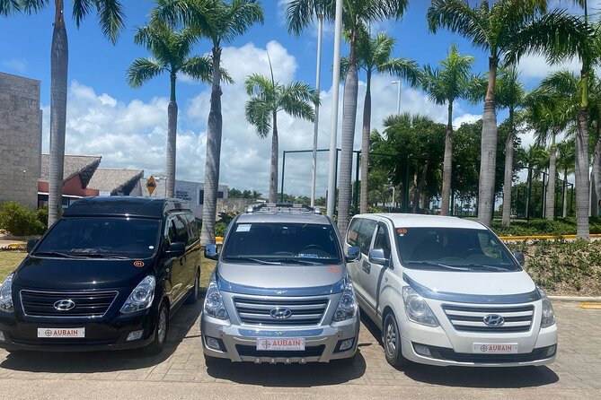 Private Transfer Between Punta Cana and Bavaro - Communication that actually helps when you land