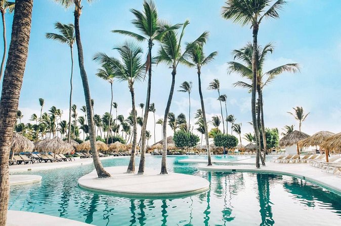 Private Transfer from Punta Cana Airport or Iberostar Punta Cana - Pickup and Drop-Off Flow: What Happens When You Arrive
