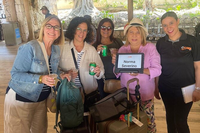 Private Transfer from Punta Cana Airport to Your Hotel - Price and value: what you are really paying for