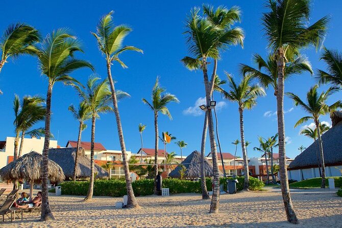 Private Transfer from Punta Cana Airport to Zona Hotels - Key things to know before you go