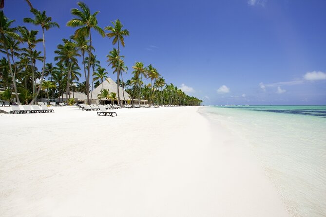 Private Transfer Punta Cana Airport to/from Barcelo Bavaro Beach - What Happens the Day Before: Julio Texts, You Follow, You Relax
