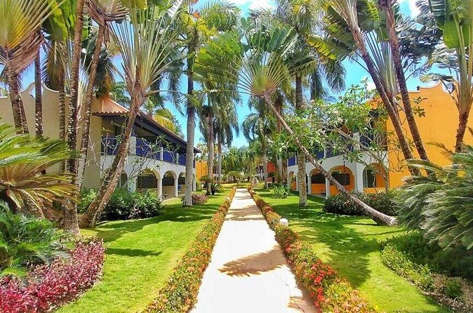Private Transfer Punta Cana Airport to/from Catalonia Royal La Romana - Return pickup from Catalonia Royal La Romana to PUJ (for flight days)