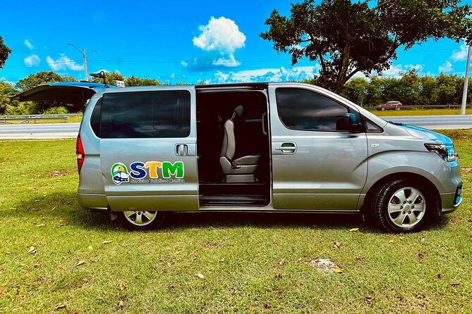 Private Transfer to/from Punta Cana Airport - Pickup Timing: A 20-Minute Early Driver and the 3-Hour Rule
