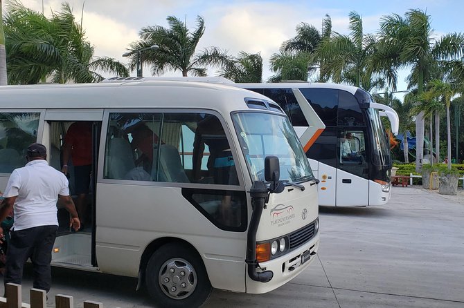 private transport - Hotel Drop-Off at Reception, Not Random Curbside Chaos
