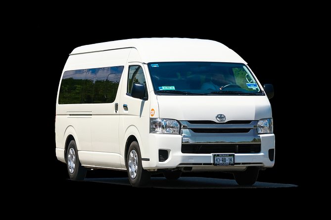 Private Transportation From To Airpot and Punta Cana Hotels (1-6) - The Shared Minivan Ride: Comfort, Timing, and What the Wait Might Look Like