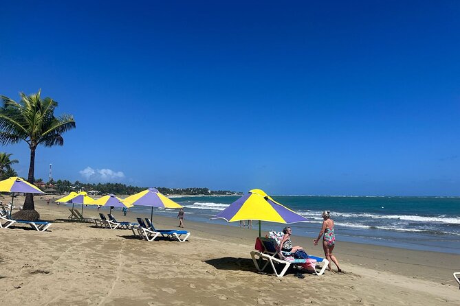 Private Van Tour - Beach days with a private van: time to actually relax