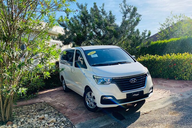 Private Van Tour - City tour or beach day: choosing the right vibe