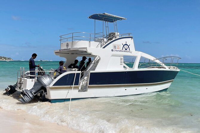 Private VIP Catamaran Party Boat Punta Cana Bavaro - Snorkeling gear, seaweed realities, and how to maximize reef time