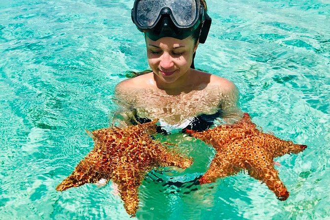 PRIVATE VIP tour Saona Island with Snorkeling, Starfish, Turtles - Punta Cana departure at 6:00 am: why the start time matters