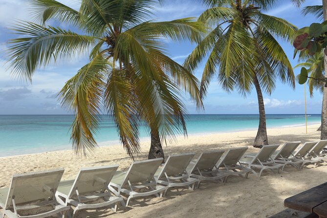 PRIVATE VIP tour Saona Island with Snorkeling, Starfish, Turtles - Staff and service that affect the day more than people expect