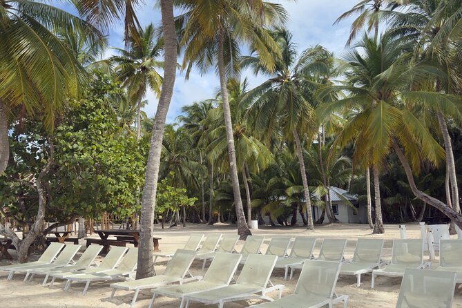 PRIVATE VIP tour Saona Island with Snorkeling, Starfish, Turtles - Who this Saona tour fits best