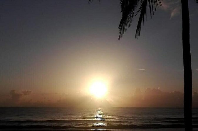 Professional surf lessons Dominican Republic, Cabarete, Encuentro - Safety, Surf Rules, and Wave Mechanics That Make You Less Nervous