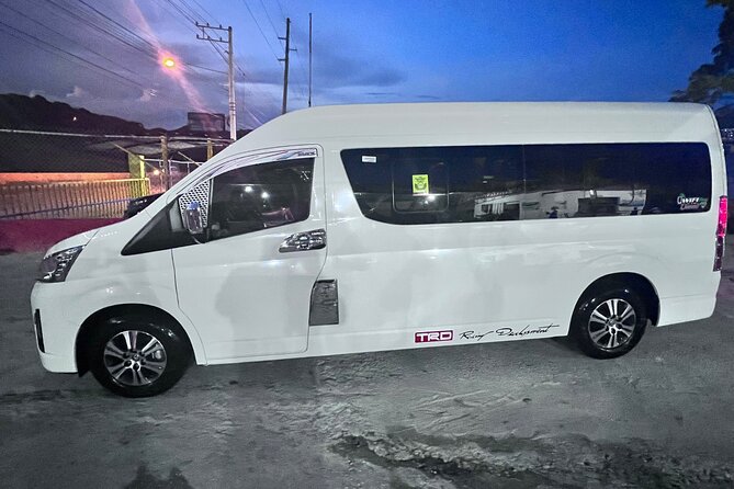 Puerto plata airport transfers to lifestyle resorts ect - The 45-minute ride to your resort or villa, with private group comfort
