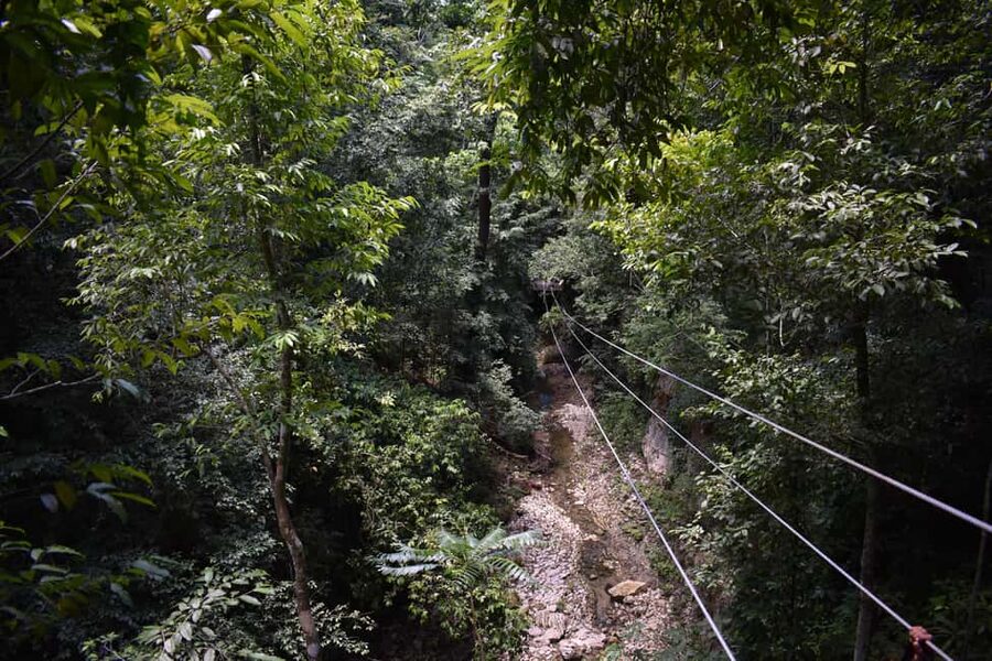 Puerto Plata/Amber Cove: Zipline and Waterfalls with Lunch - Key highlights to know before you go