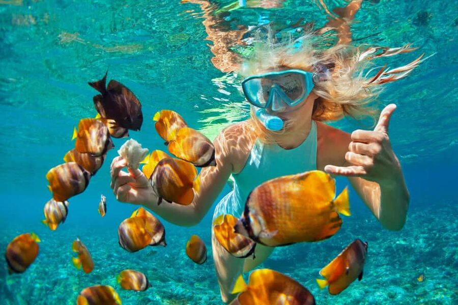 Puerto Plata: Catamaran Snorkeling Trip w/ Buffet & Open Bar - The first snorkeling stop, coral reef time before lunch