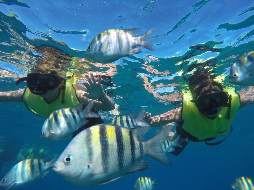 Puerto Plata: Catamaran Snorkeling Trip w/ Buffet & Open Bar - Price and value: $79 that covers the hard parts for you